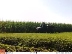 M2E179A1L236-0.0-0.0