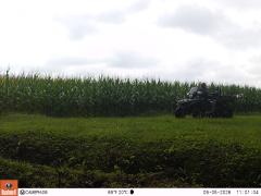 M2E169A1L226-0.0-0.0