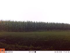 M2E121A1L172-0.0-0.0