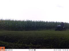 M2E150A1L208-0.0-0.0