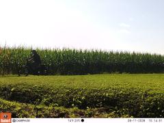 M2E183A1L241-0.0-0.0