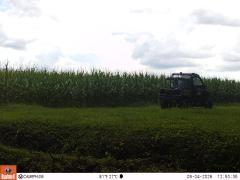 M2E165A1L222-0.0-0.0