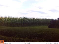 M2E154A1L211-0.0-0.0