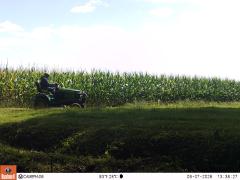 M2E162A1L219-0.0-0.0