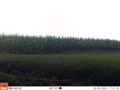 M2E121A1L172-0.0-0.0