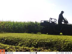 M2E176A1L233-0.0-0.0