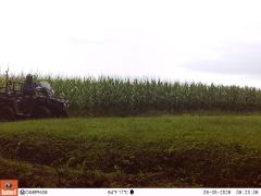 M2E130A1L186-0.0-0.0