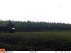 M2E150A1L208-0.0-0.0