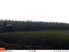 M2E148A1L206-0.0-0.0