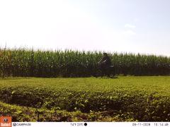 M2E183A1L241-0.0-0.0