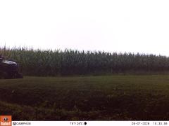 M2E148A1L206-0.0-0.0