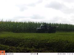 M2E169A1L226-0.0-0.0