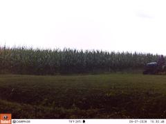 M2E150A1L208-0.0-0.0