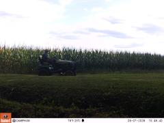 M2E154A1L211-0.0-0.0