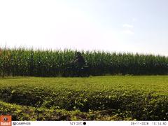 M2E183A1L241-0.0-0.0