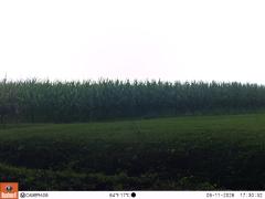 M2E132A1L188-0.0-0.0