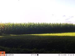 M2E150A1L208-0.0-0.0