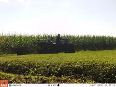 M2E183A1L243-0.0-0.0