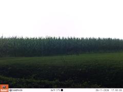 M2E133A1L189-0.0-0.0