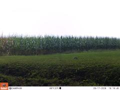 M2E112A1L156-0.0-0.0