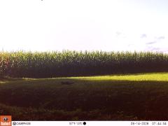 M2E150A1L208-0.0-0.0
