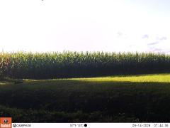 M2E150A1L208-0.0-0.0