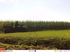 M2E183A1L243-0.0-0.0