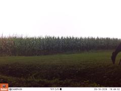M2E133A1L189-0.0-0.0