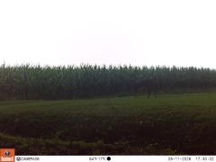 M2E133A1L189-0.0-0.0
