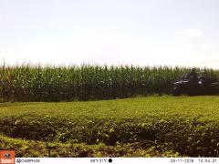M2E183A1L240-0.0-0.0