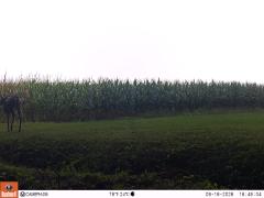 M2E133A1L189-0.0-0.0