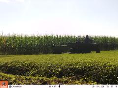 M2E183A1L243-0.0-0.0