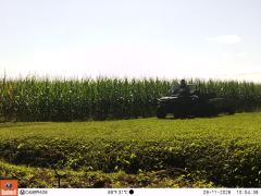 M2E183A1L240-0.0-0.0