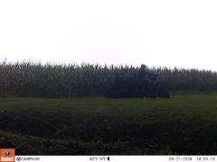 M2E149A1L207-0.0-0.0