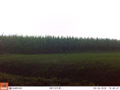 M2E133A1L190-0.0-0.0