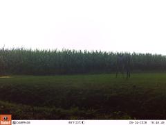M2E134A1L191-0.0-0.0