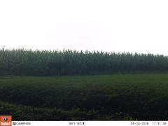 M2E128A1L184-0.0-0.0