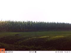 M2E138A1L196-0.0-0.0