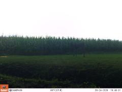 M2E134A1L191-0.0-0.0
