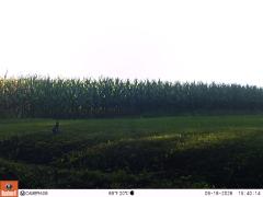 M2E138A1L196-0.0-0.0