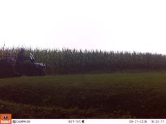 M2E149A1L207-0.0-0.0