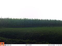 M2E128A1L184-0.0-0.0