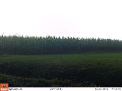 M2E128A1L184-0.0-0.0