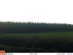 M2E126A1L178-0.0-0.0