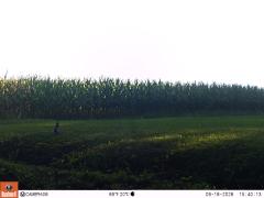 M2E138A1L196-0.0-0.0
