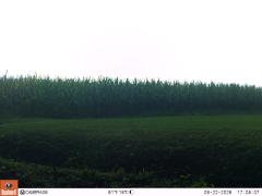 M2E132A1L188-0.0-0.0