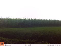 M2E128A1L184-0.0-0.0