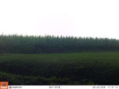 M2E128A1L184-0.0-0.0