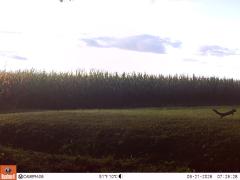 M2E141A1L199-0.0-0.0