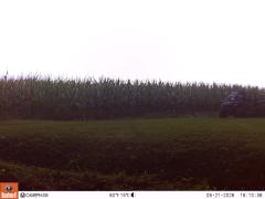M2E149A1L207-0.0-0.0